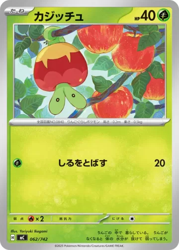 カジッチュ TD