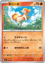 ポニータ TD