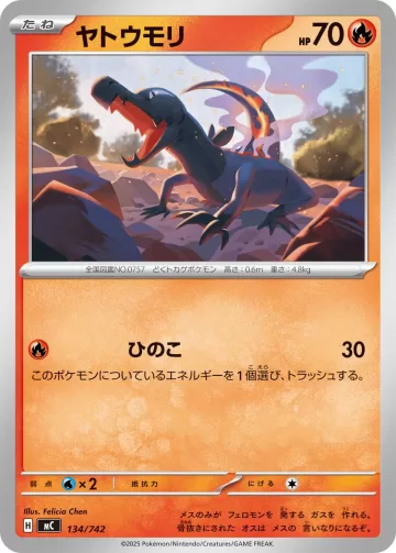 ヤトウモリ TD