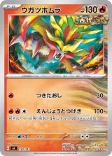 ウガツホムラ TD