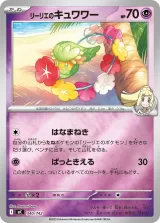 リーリエのキュワワー S-TD