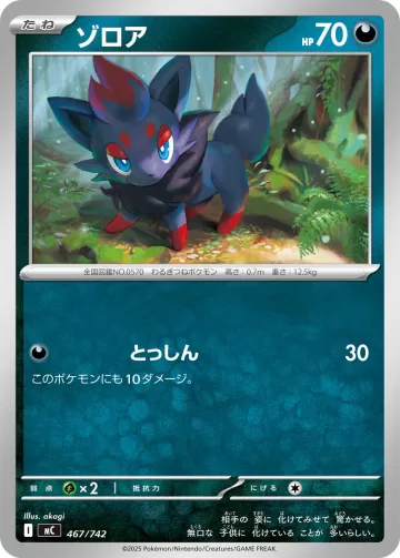 ゾロア TD