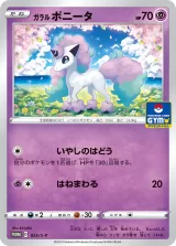 ガラルポニータ PROMO