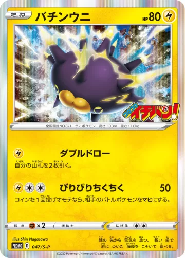 バチンウニ PROMO