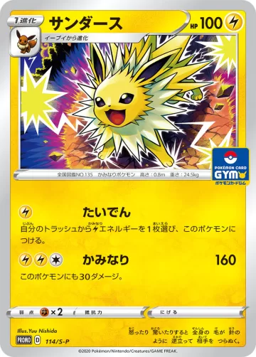 サンダース PROMO