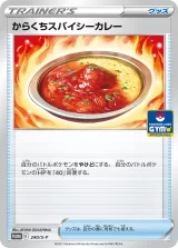からくちスパイシーカレー PROMO