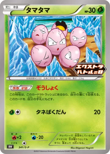 タマタマ PROMO
