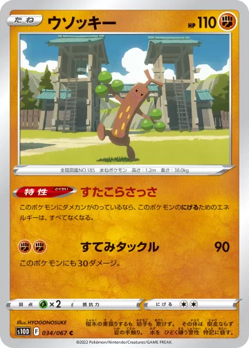 ウソッキー C