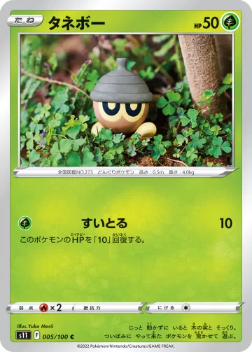 タネボー C