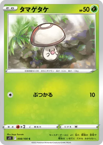 タマゲタケ C