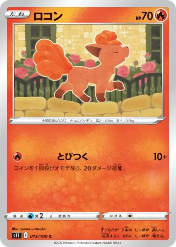 ロコン C