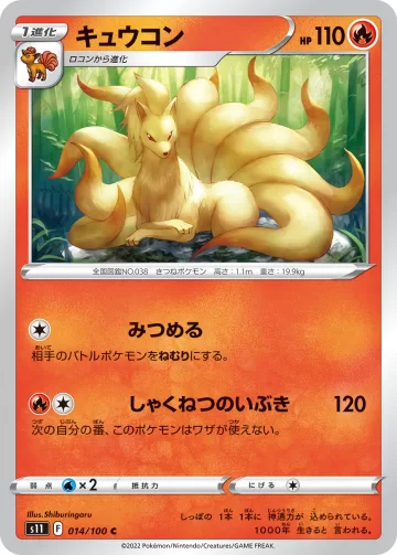 キュウコン C