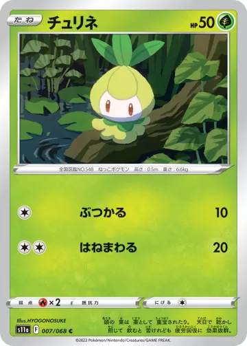 チュリネ C