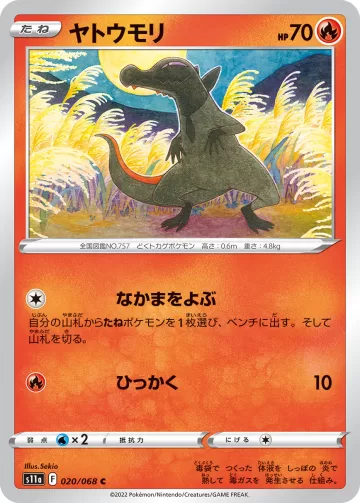 ヤトウモリ C ミラー