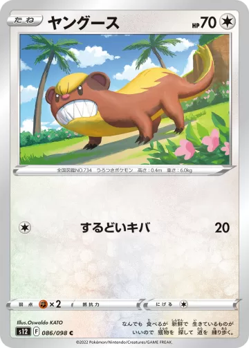 ヤングース C