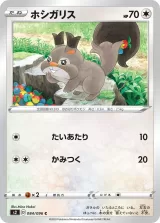 ホシガリス C