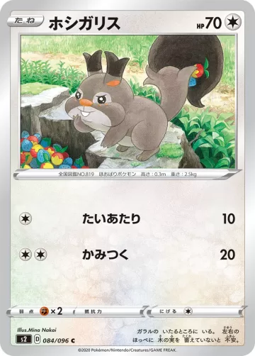 ホシガリス C