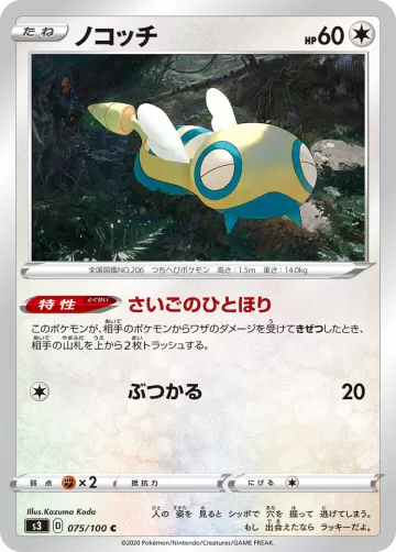 ノコッチ C