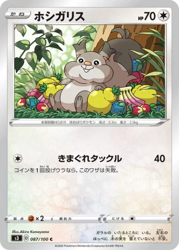 ホシガリス C