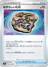 めずらしい化石 C