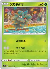 クヌギダマ C