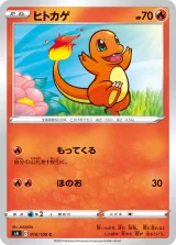 ヒトカゲ C