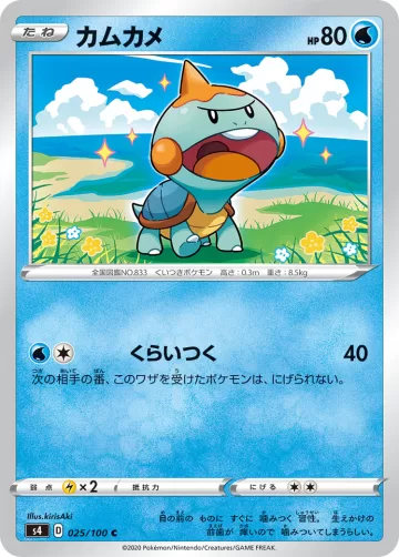 カムカメ C
