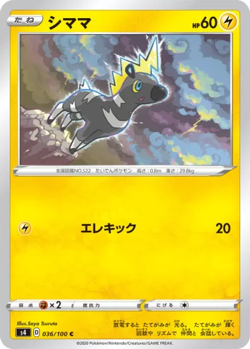 シママ C
