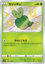 カジッチュ S