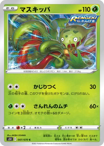 マスキッパ C