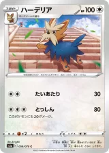 ハーデリア C