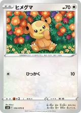 ヒメグマ C