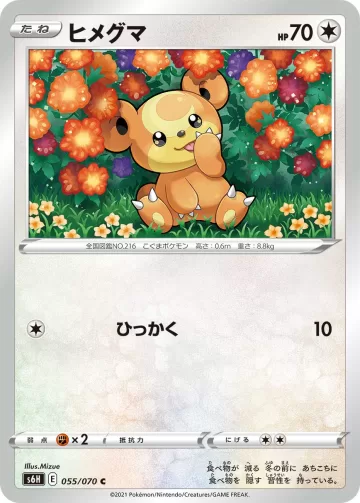 ヒメグマ C
