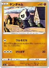ヤンチャム C