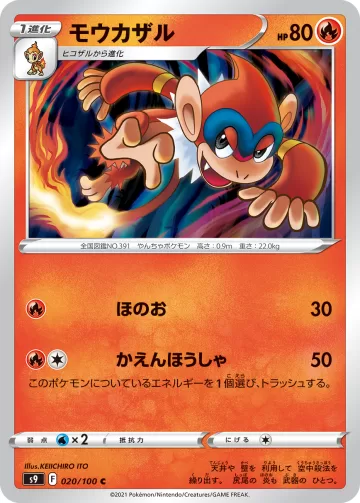 モウカザル C