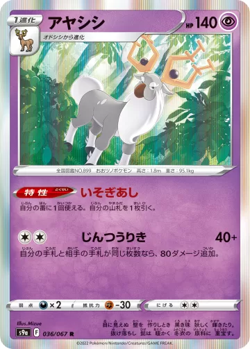 アヤシシ R