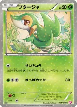 ツタージャ C