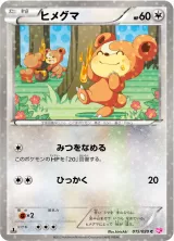 ヒメグマ C