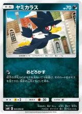 ヤミカラス C