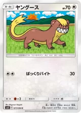 ヤングース C