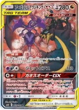 アーゴヨン&アクジキングGX SR