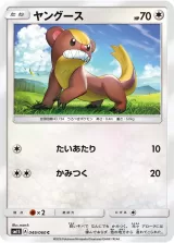 ヤングース C