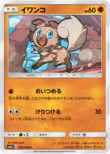 イワンコ C