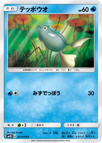 テッポウオ C