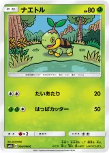 ナエトル C