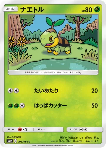 ナエトル C