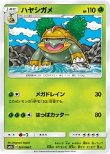 ハヤシガメ C