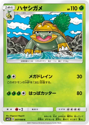 ハヤシガメ C