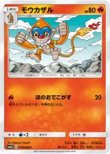 モウカザル C