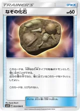 なぞの化石 C